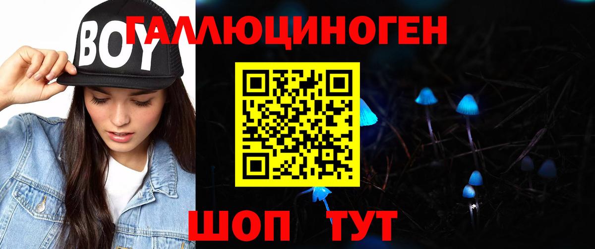Галлюциногенные грибы GOLDEN TEACHER  Вход с VPN  Новоалександровск 